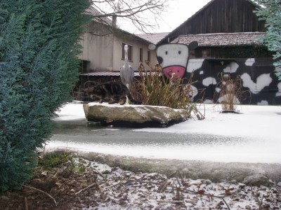 La vache, le héron et le chat ......