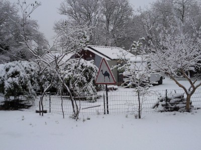 neige 3[].jpg