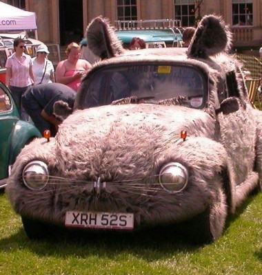 bunnycar.jpg