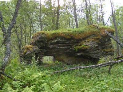 en Norverge vers Laberg route 84