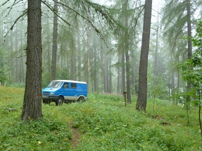 Un bleu au milieu des mélèzes et les pneus dans les fraises des bois
