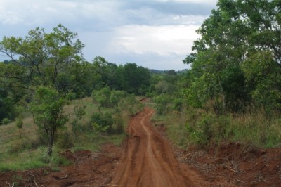 15-Cambodge-Mondulkiri-ca devient etroit et mou.JPG