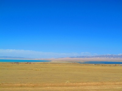 lac qinghai