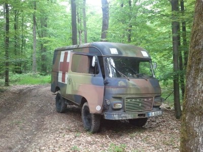 On n'a pas pu s'empêcher d'aller dans les bois !