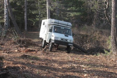 .... gymkhana obligatoire entre les arbres et les souches ...