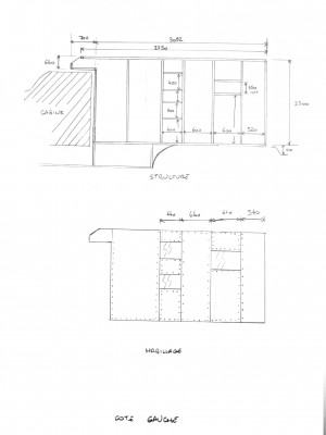 structure cellule