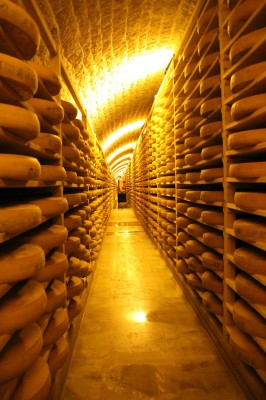 La caves fait 215m de long et il y en a plusieurs (en tout 105 000 meules de comté dorment ici)