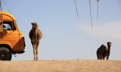 491-Oasis-Source-Sacree-AdbelRahmane.JPG