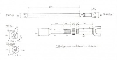 arbre transmission berbère.jpg