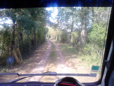 un autoroute de verdure!