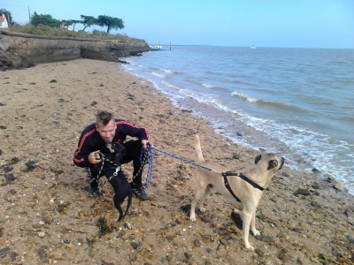 Noirmoutier canin