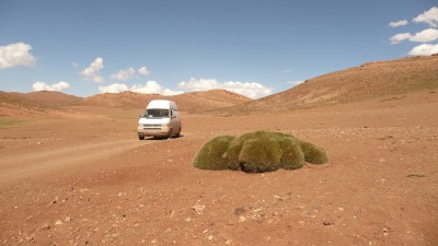 une touffe d'herbe!...acérée...