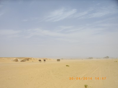 Vers les dunes Chigaga mon dieu que c est beau