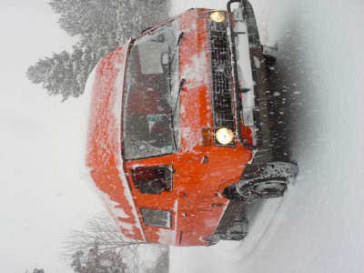 Le voici sous la neige <br />Son premier périple à plus de 1200 km de sa Bretagne