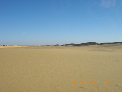 Premier cordon de dune