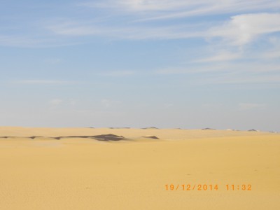 MAURITANIE 194.JPG