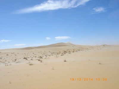 MAURITANIE 213.JPG