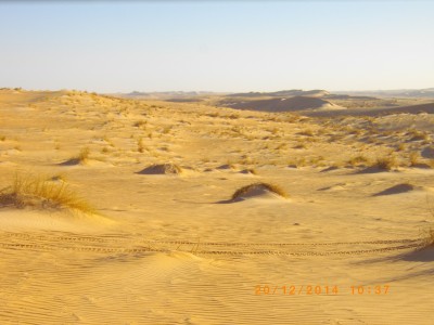 MAURITANIE 220.JPG