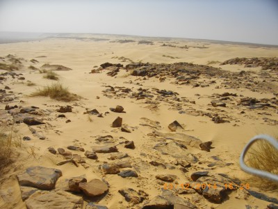 MAURITANIE 239.JPG