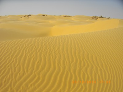 MAURITANIE 245.JPG