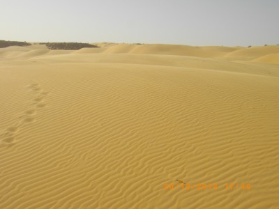 MAURITANIE 248.JPG