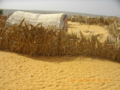 MAURITANIE 288.JPG