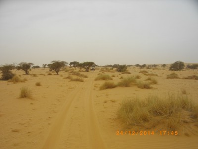 MAURITANIE 338.JPG