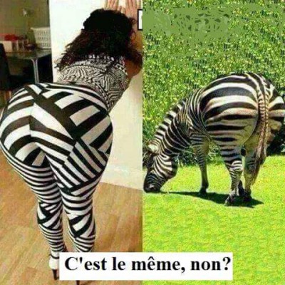 j'ai retrouvé la vache,mais elle est rayée hi hi hi claude