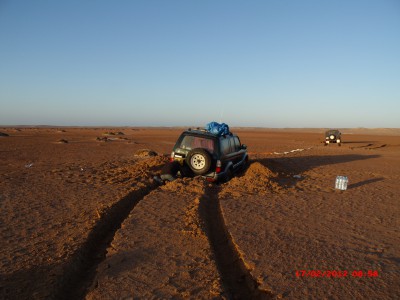 Un Pinz et un Toyota plantés