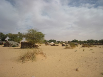 Oasis de Tanouchert