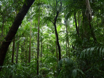 parc de Kakadu