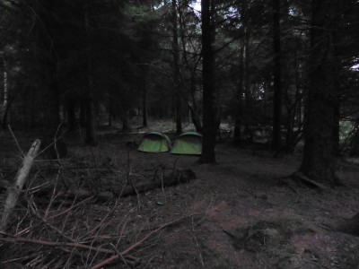 Nuit blanche en FORET, le couteau à la main