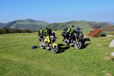 MSXA 125 (le &quot;A&quot; c'est pour Adventure hein&quot;