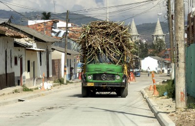 352. transport de canne a sucre.JPG