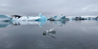 Lagune de Jökulsárlón