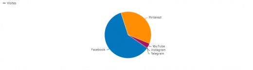 La proportion de visiteurs venant des réseaux sociaux.