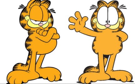 Garfield réduit.jpg