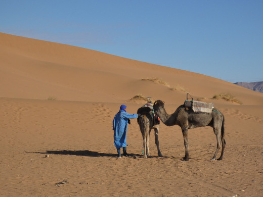 Un 4x4 éternel.