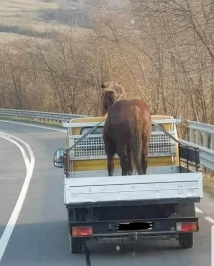 y se prennent pas trop la tête...