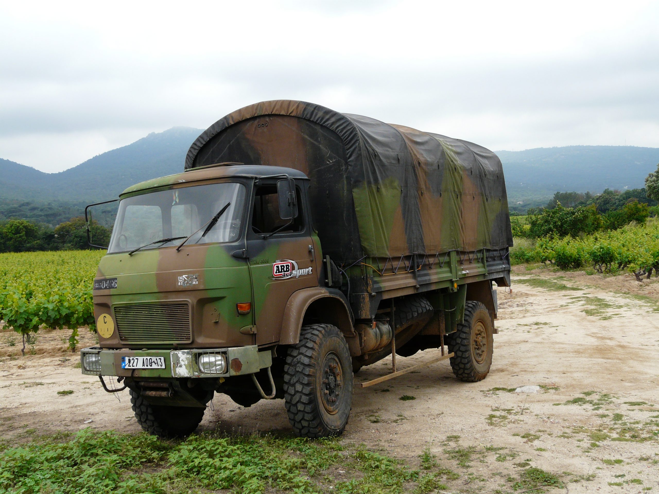P1000400.jpg