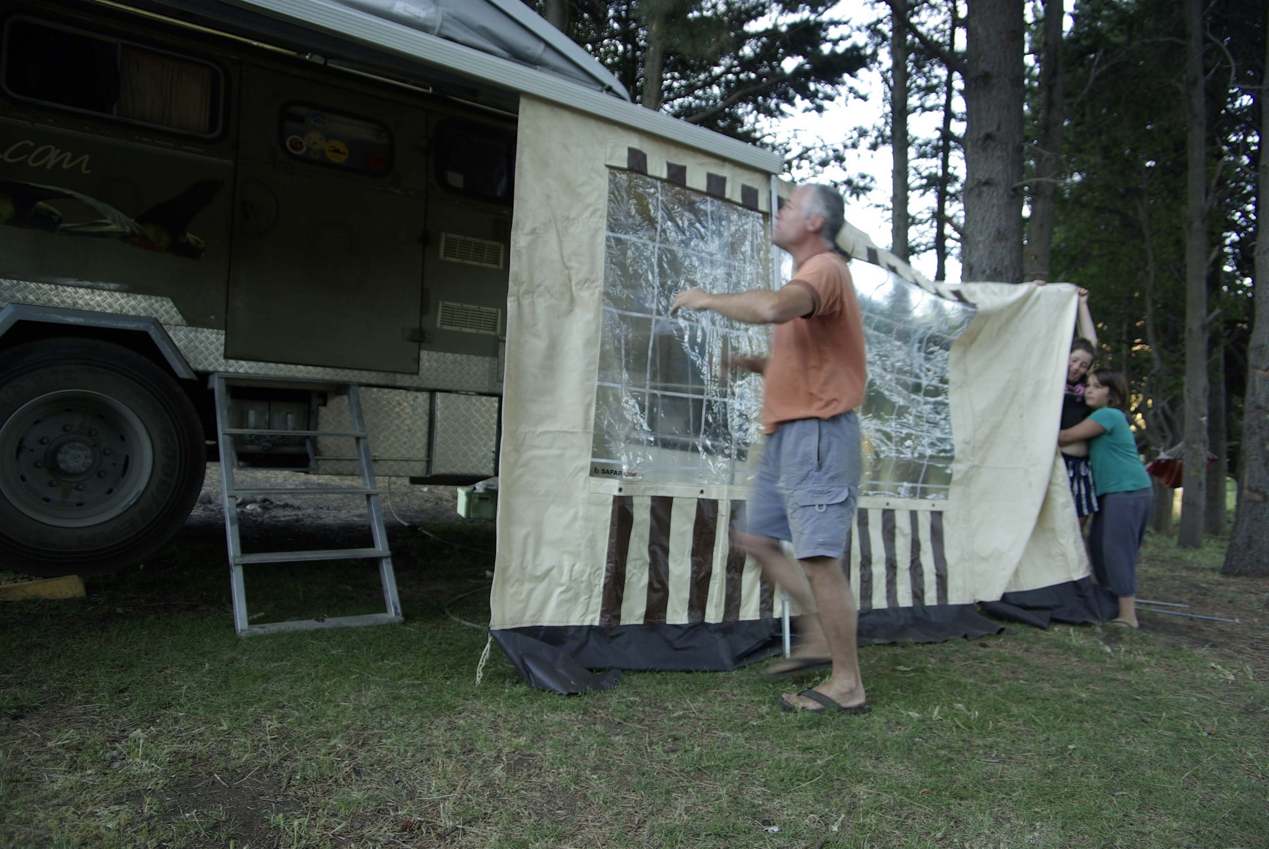 instalation-safari-room-2.jpg